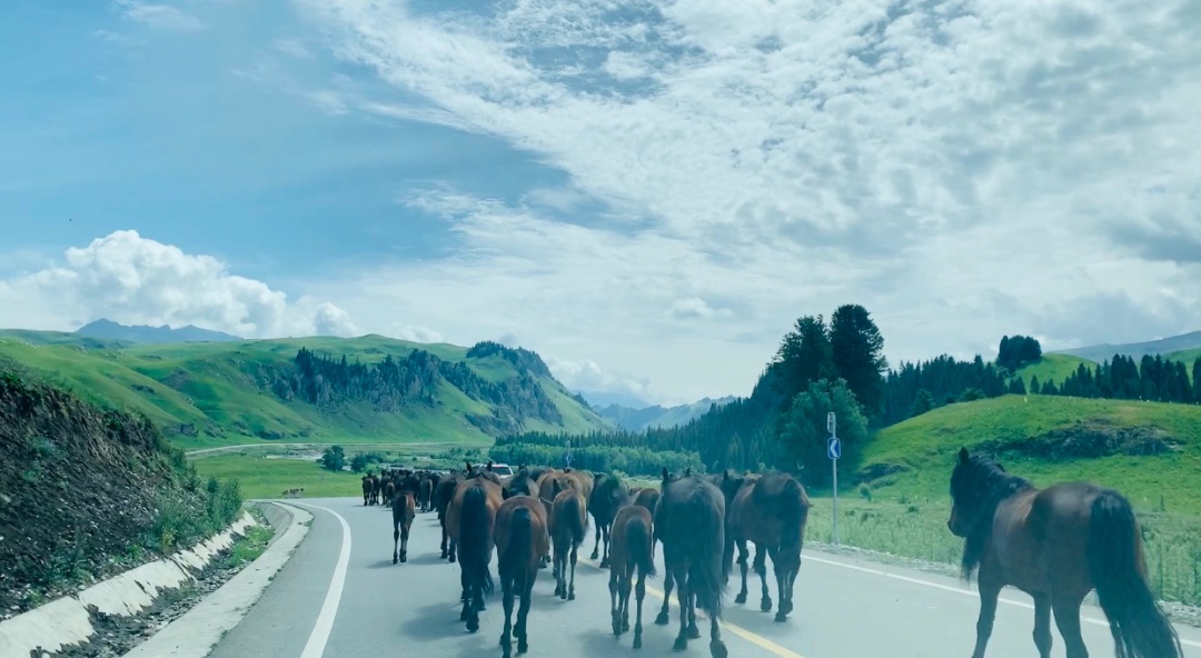 《新疆旅游攻略》《新疆旅游攻略》_游记