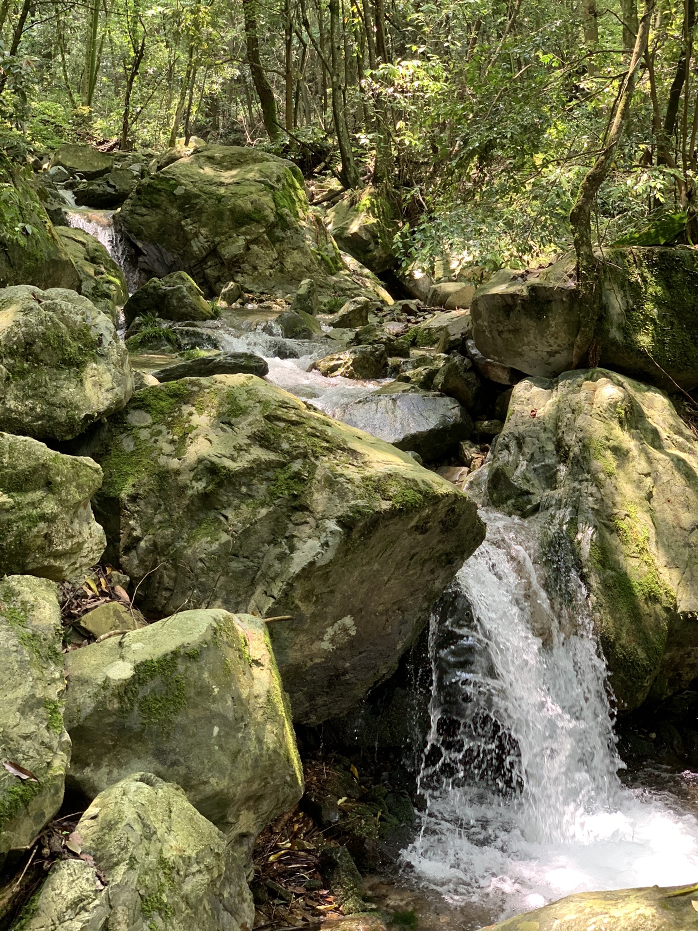 战栗南华山_游记
