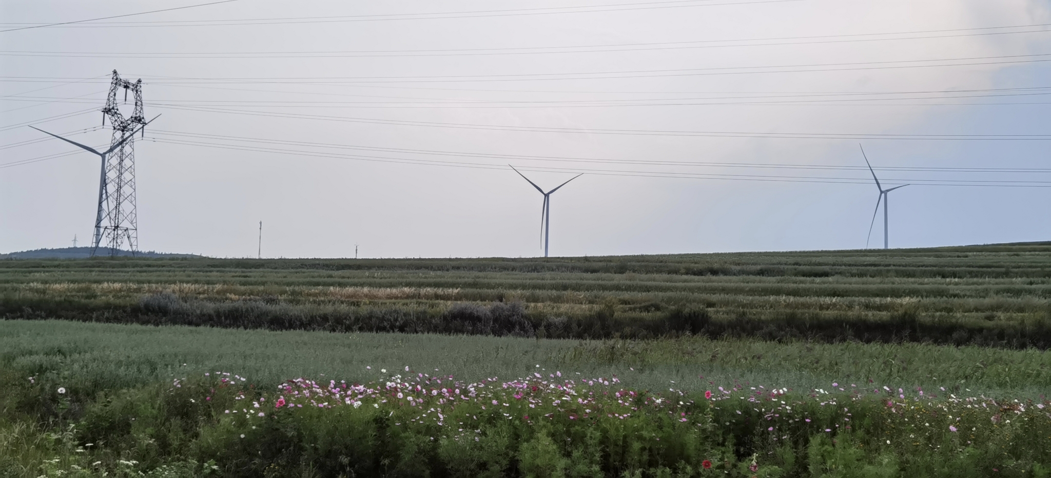 美丽自驾公路——草原天路_游记