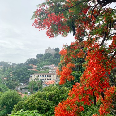 海边的客厅鼓浪屿