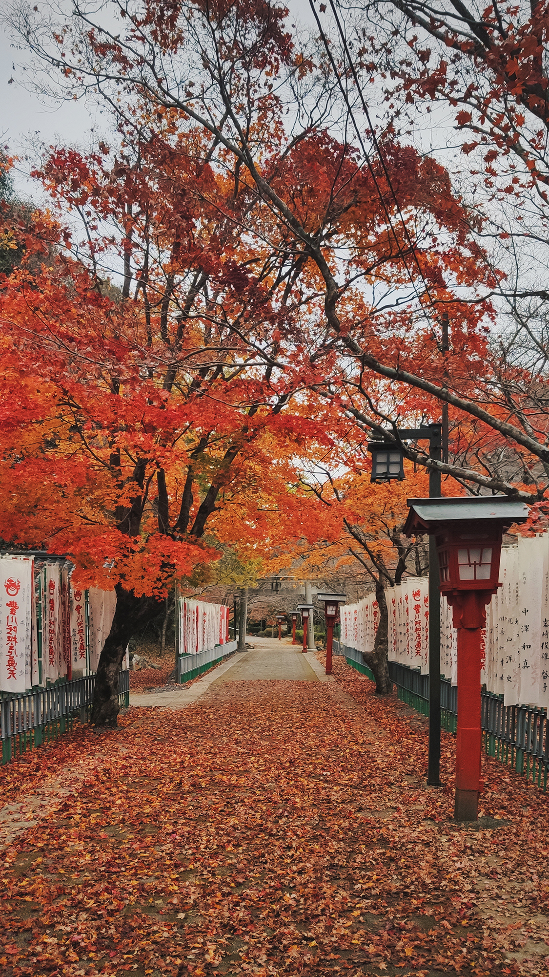 山口市游记