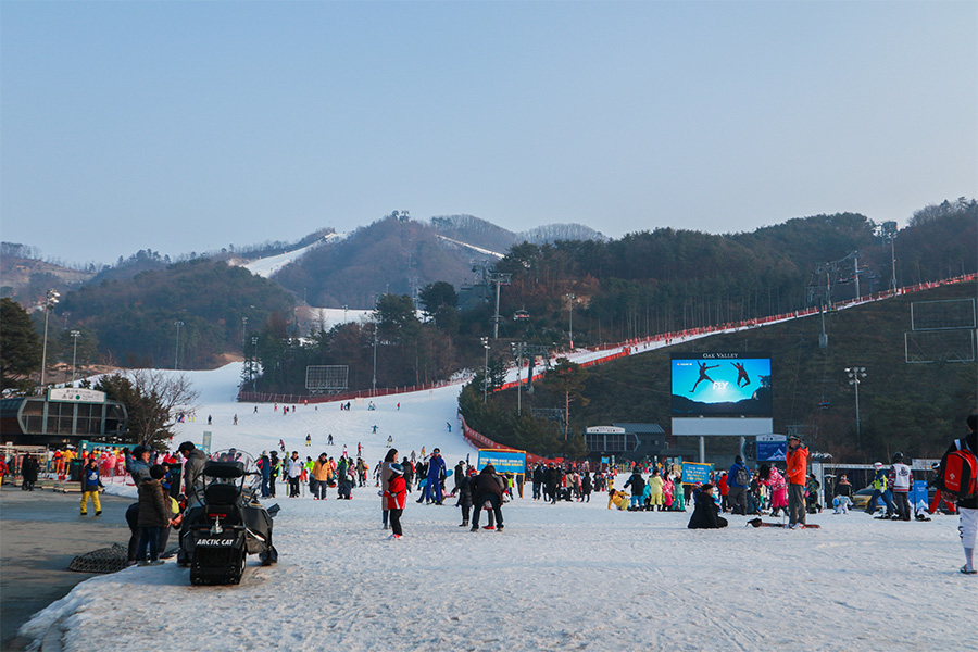 韩国首尔滑橡树谷滑雪场oakvalley