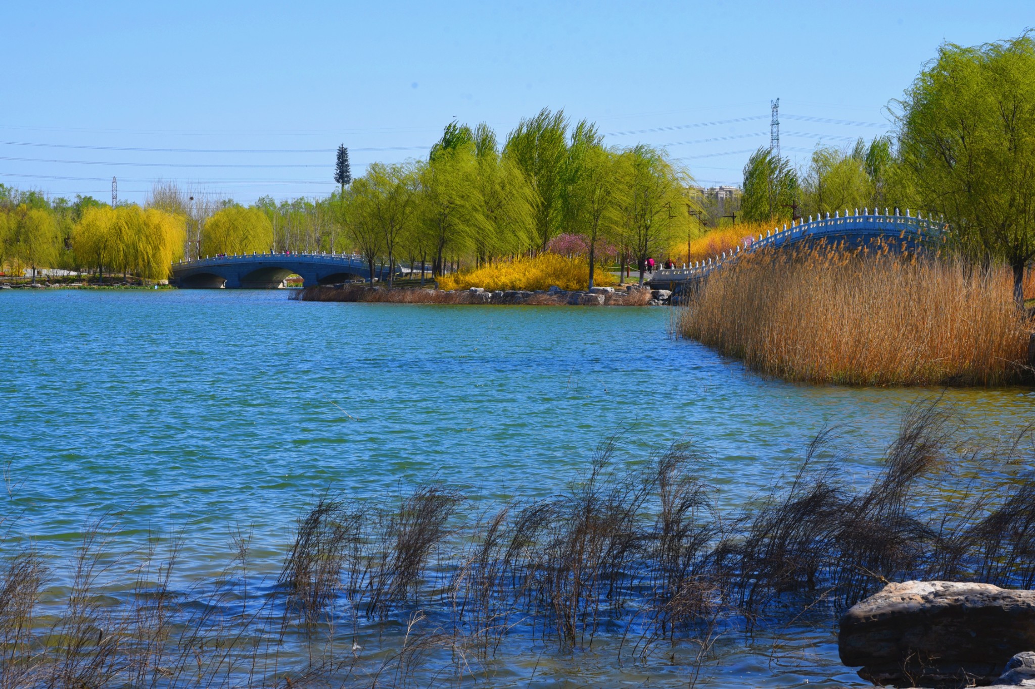 南海子郊野公园二期,北京自助游攻略 - 马蜂窝