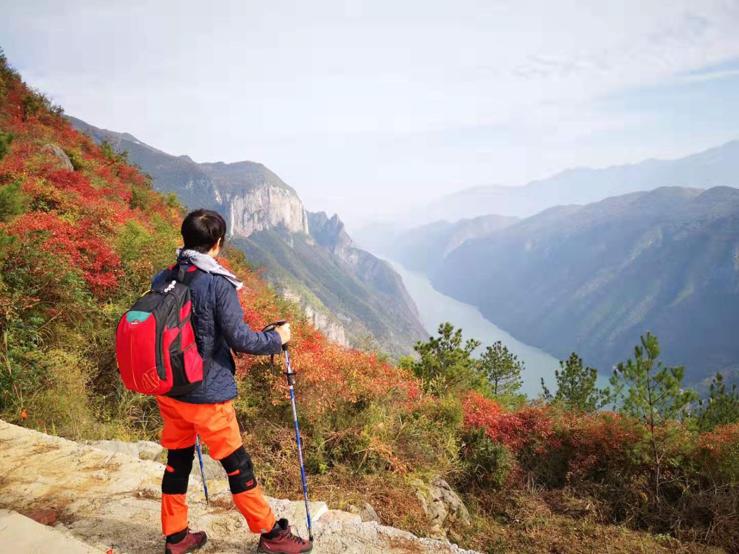 【巫山县图片】徒步巫山看红叶。