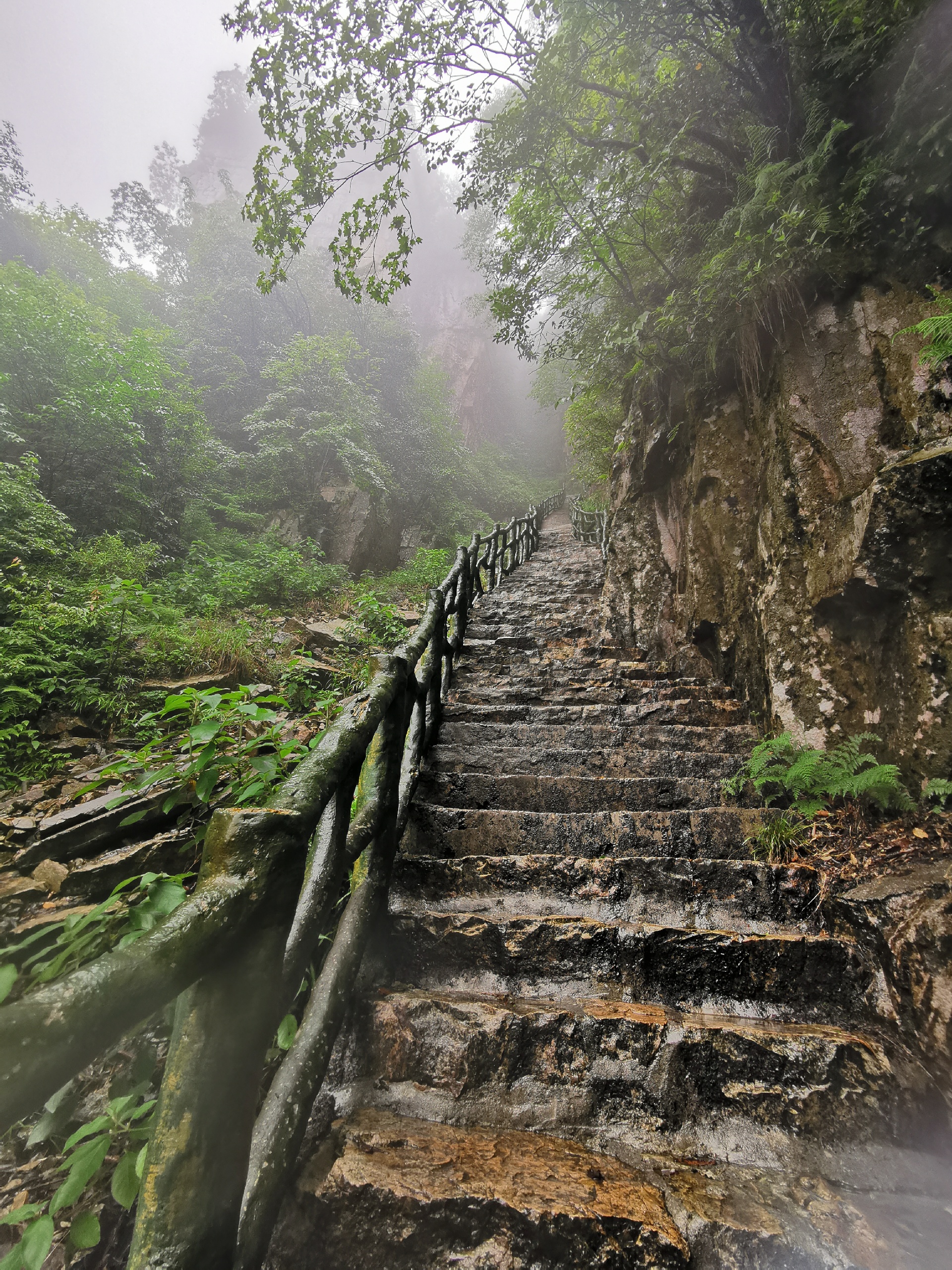 小草坝风景区攻略,小草坝风景区门票_地址,小草坝风景