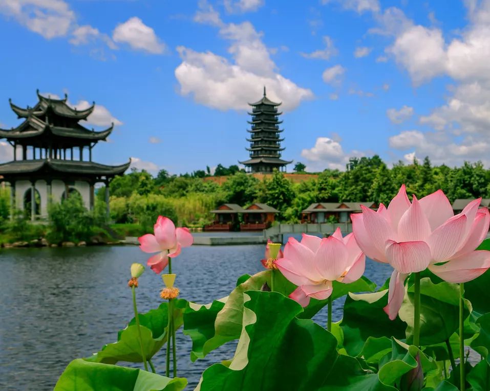 婺源水墨上河门票4a级景区田园荷花