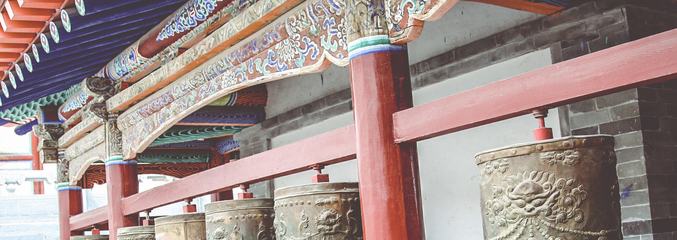 去大草原的湖边，等候鸟飞回来，恋恋不忘青海湖_游记