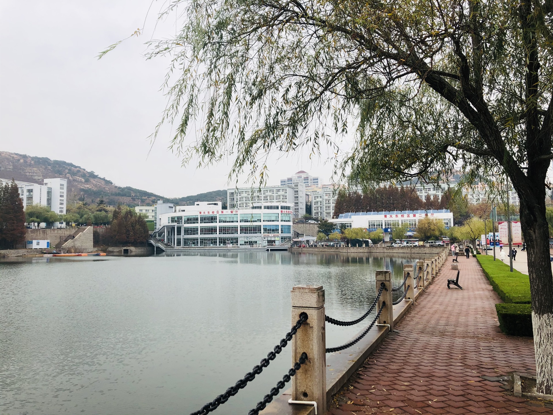 青岛大学金家岭校区