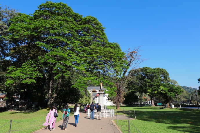 斯里兰卡日记（6）——康提佛牙寺_游记