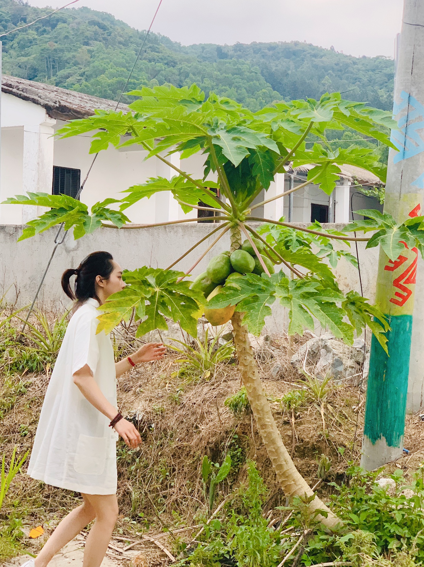 探索什寒村#黎母山和鹦哥岭之间的高山盆地#冷...