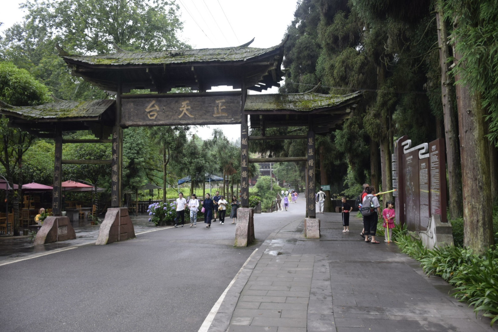 采风_邛崃天台山&一日游,旅游攻略 马蜂窝