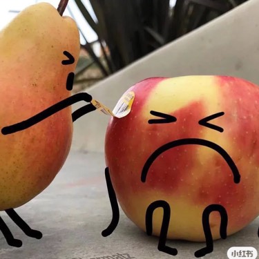马蜂窝用户