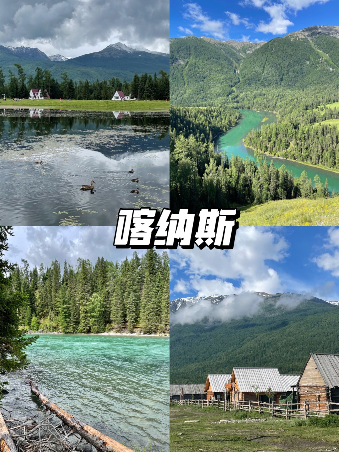 干货｜新疆自由行超省钱攻略‼️_游记