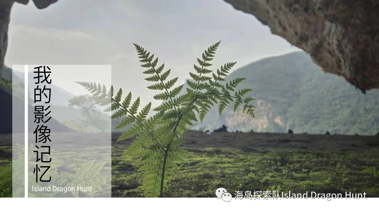 海岛寻龙队～海南昌江皇帝洞探险之旅_游记