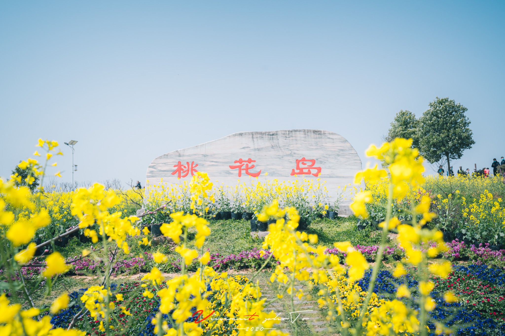 又富有诗意的名字---桃花岛,今年2020"云游金色花海,情醉汉人老家"