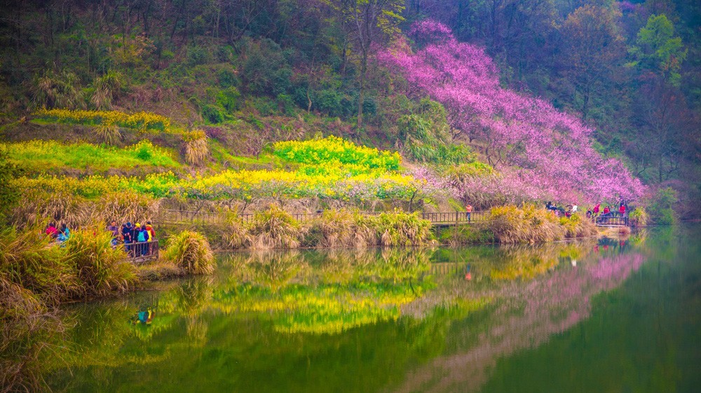 江西婺源旅游攻略春天赏花好去处 | 经典赏花盘点