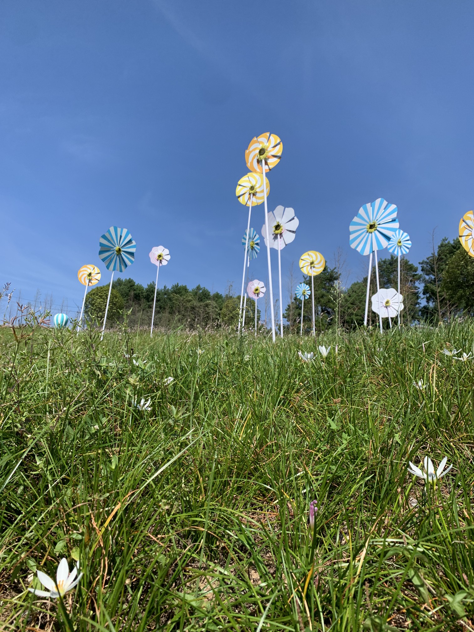 重庆后花园——横山花仙谷_游记