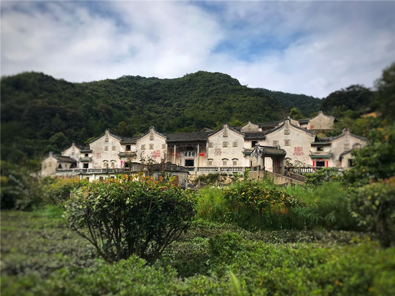 梅州一日游客都人家 阴那山灵光三绝 雁南飞茶田景区 醉美古村落桥溪