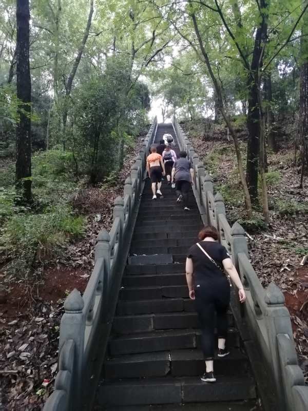 谷城景点介绍,谷城旅游景点,谷城景点推荐 - 马蜂窝