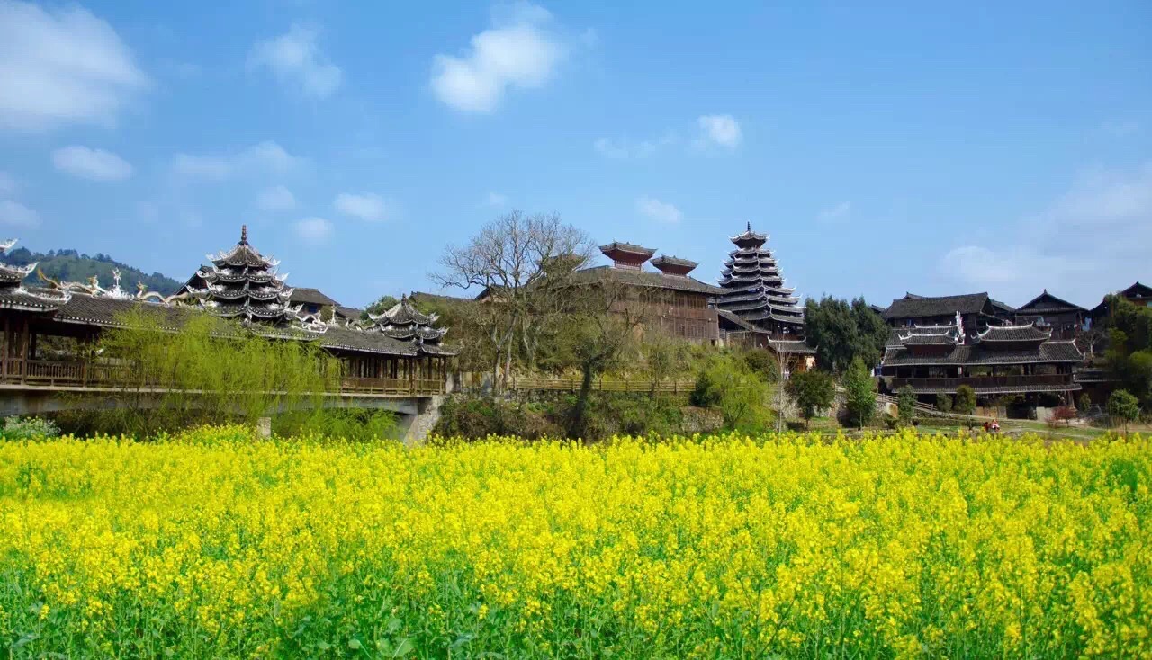 侗寨里半天建起了一座吊脚楼_游记