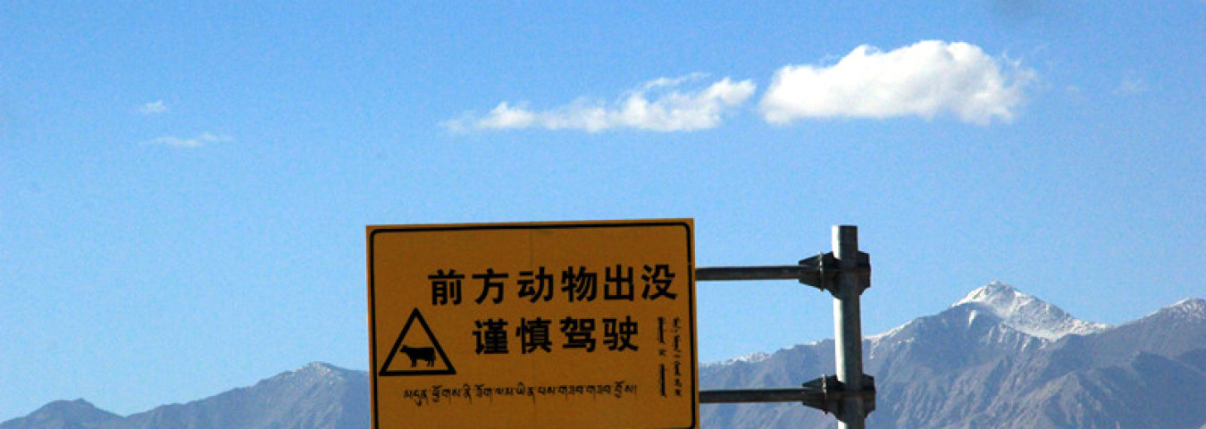 青海湖旅游攻略·流年未亡,夏日已尽！ 青海漂泊的生活还没有消亡_游记