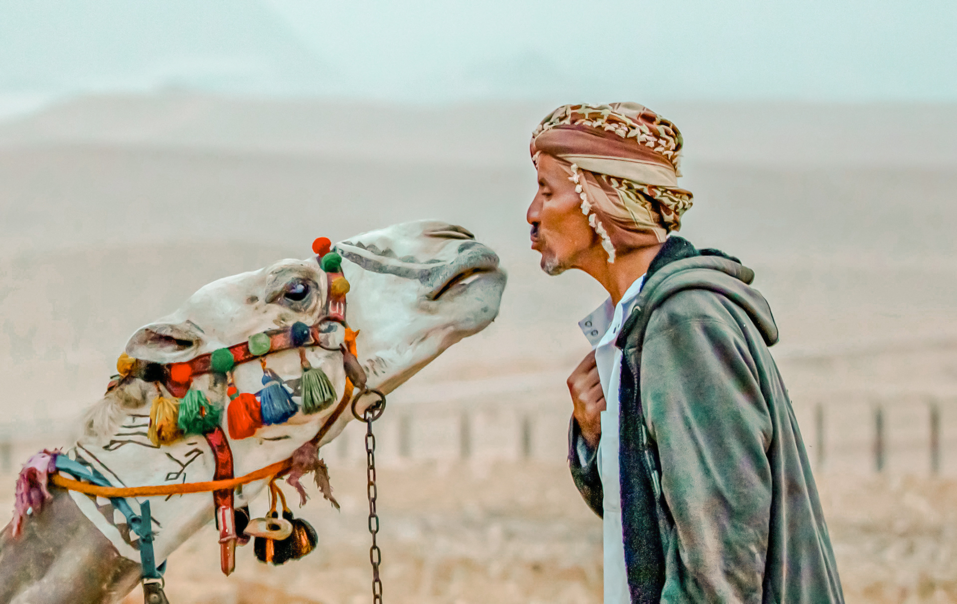 黄沙之上——去埃及赴一场史诗盛宴_游记