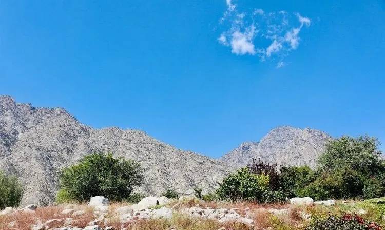 胡博士 随心走 自在游 ——宁夏5天4晚自由行旅程攻略（操作性强，交通及精选景点）_游记