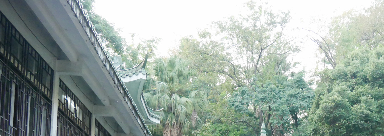 <星级游记>6日游走桂林阳朔 一杯清茶敬山水@番茄喵喵旅行中_游记