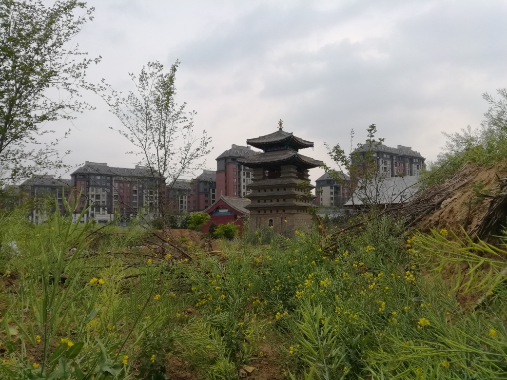 洞林寺_游记