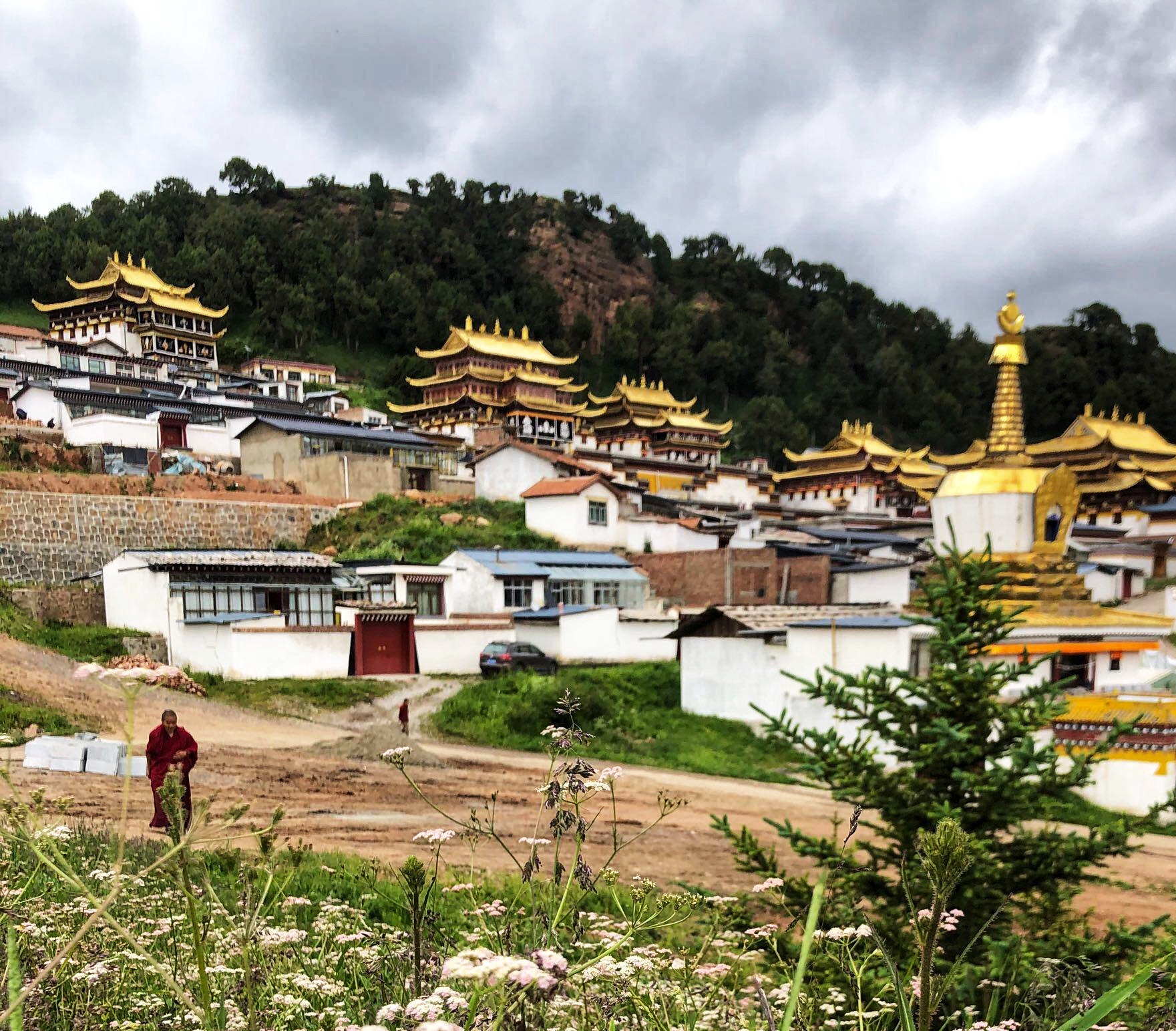 甘南之行（三）郎木寺白龙江_游记