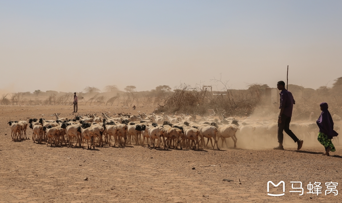 索马里话费流量充值查询技巧,索马里Hormuud卡somtel卡话费流量充值查询技巧_游记