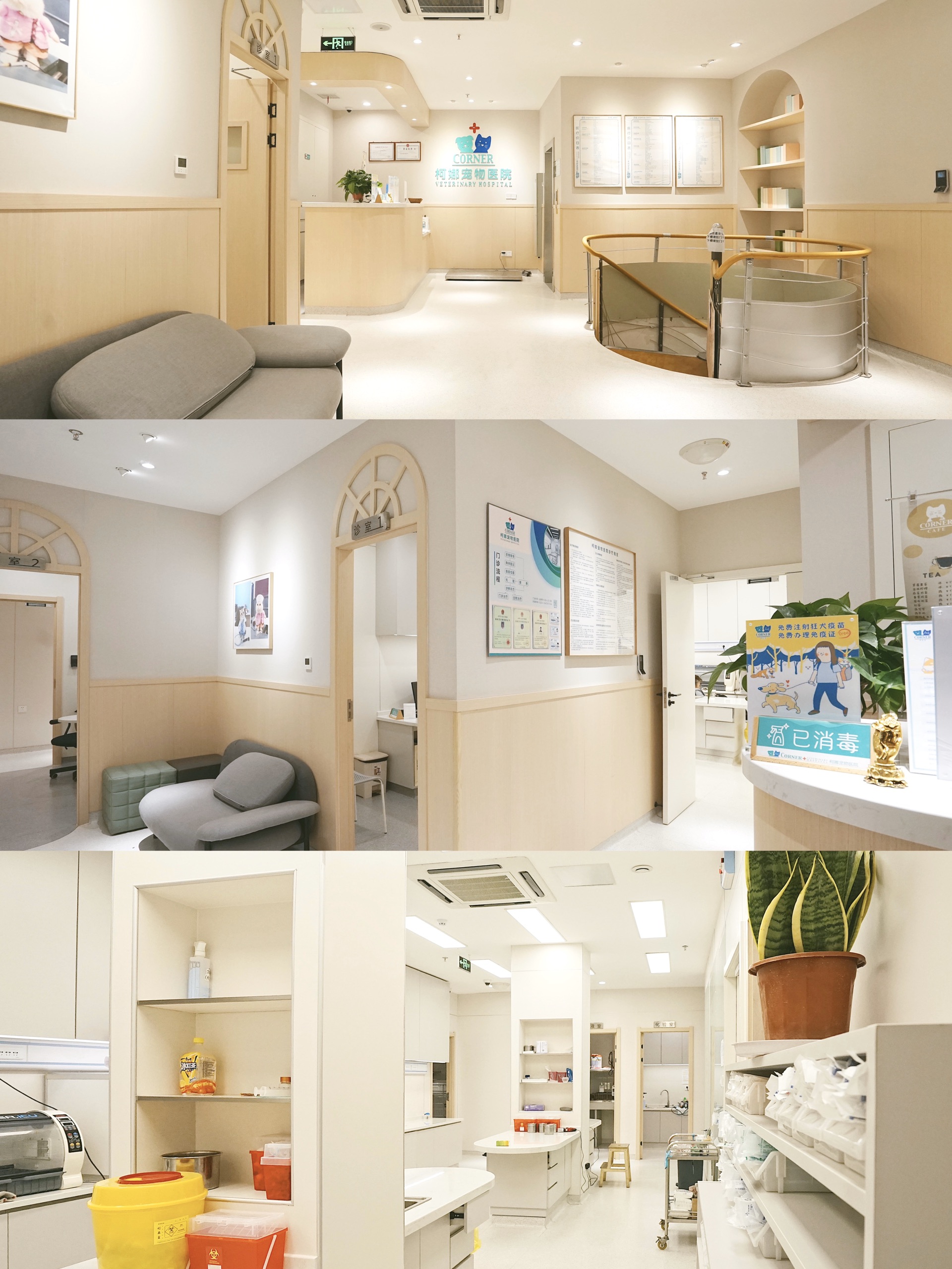 南京美食-Cornerpet柯娜宠物猫咖馆