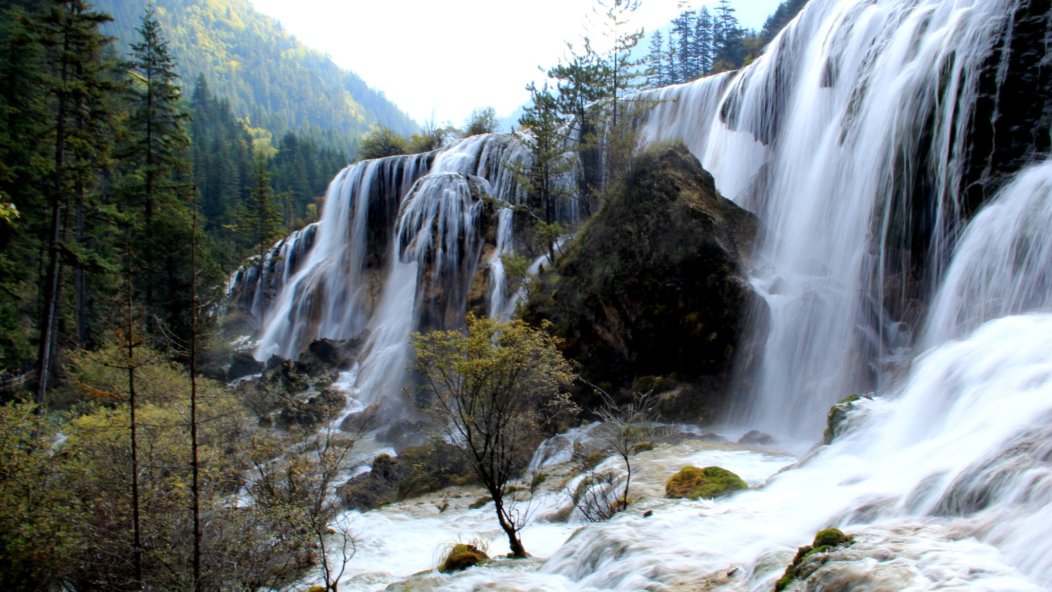 不来永远不知道它为什么美的景区——四川九寨沟