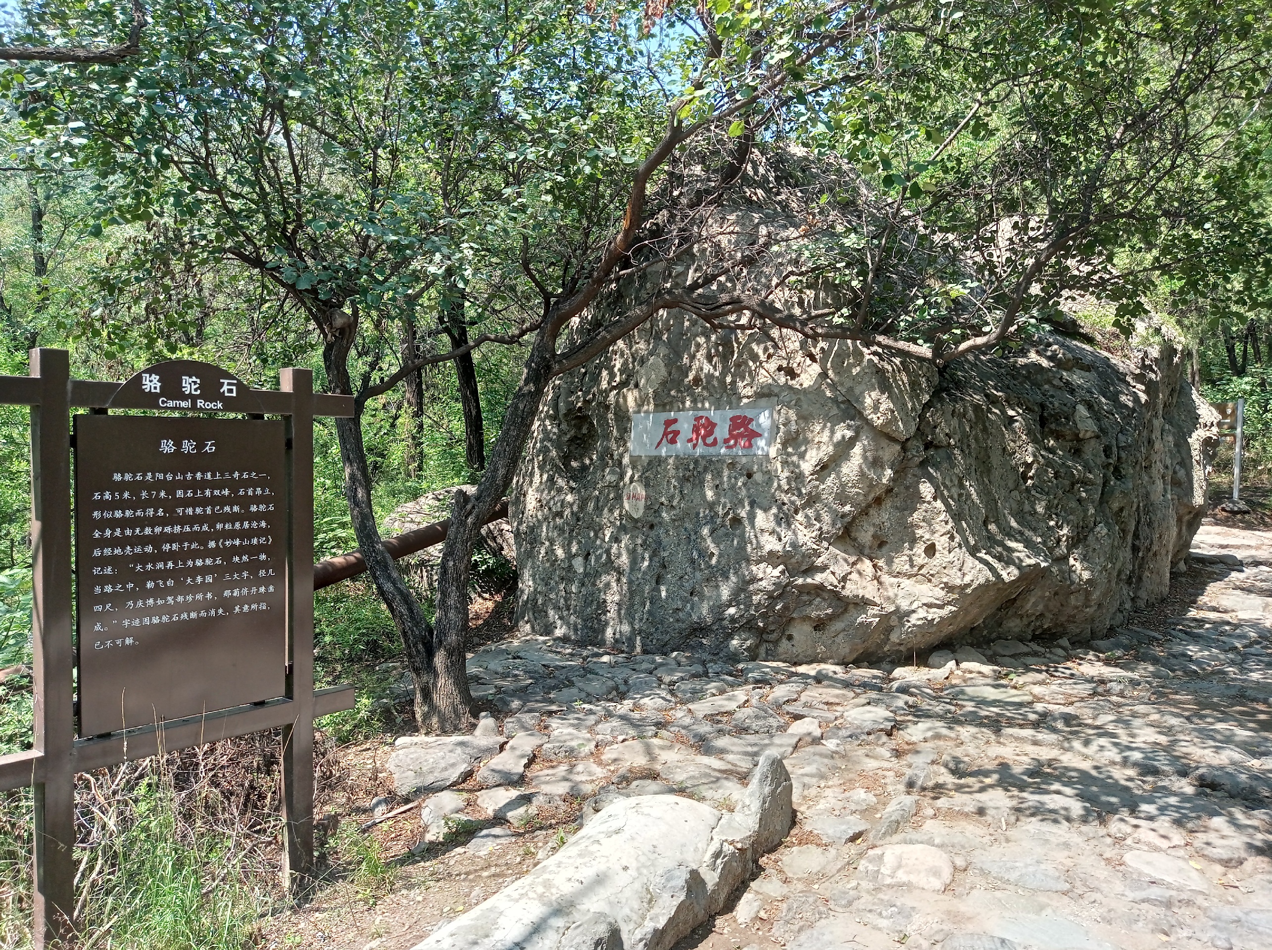 北京娱乐-24小时城市书房