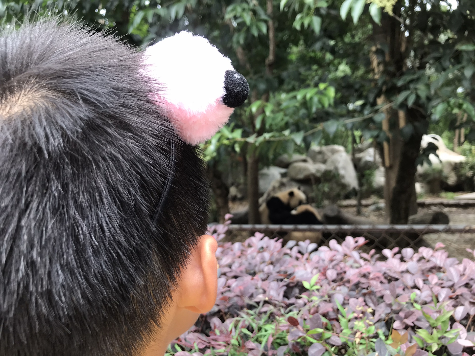 ·2020注定多变的一年 旅行@成都_游记