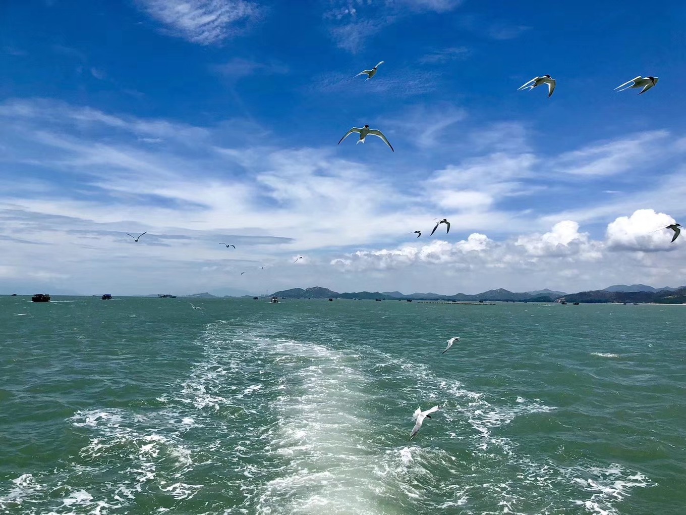 惠州双月湾,广东惠州——巽寮湾——双月湾_游记