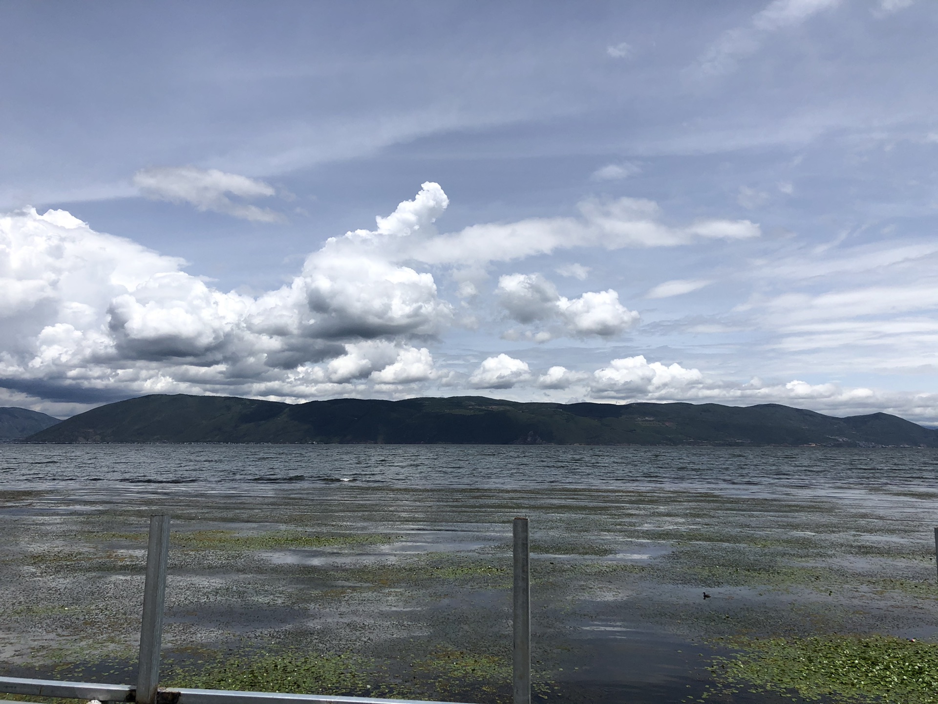 小林邑