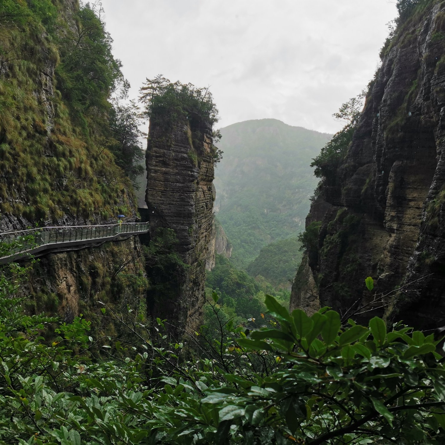 随风飘荡