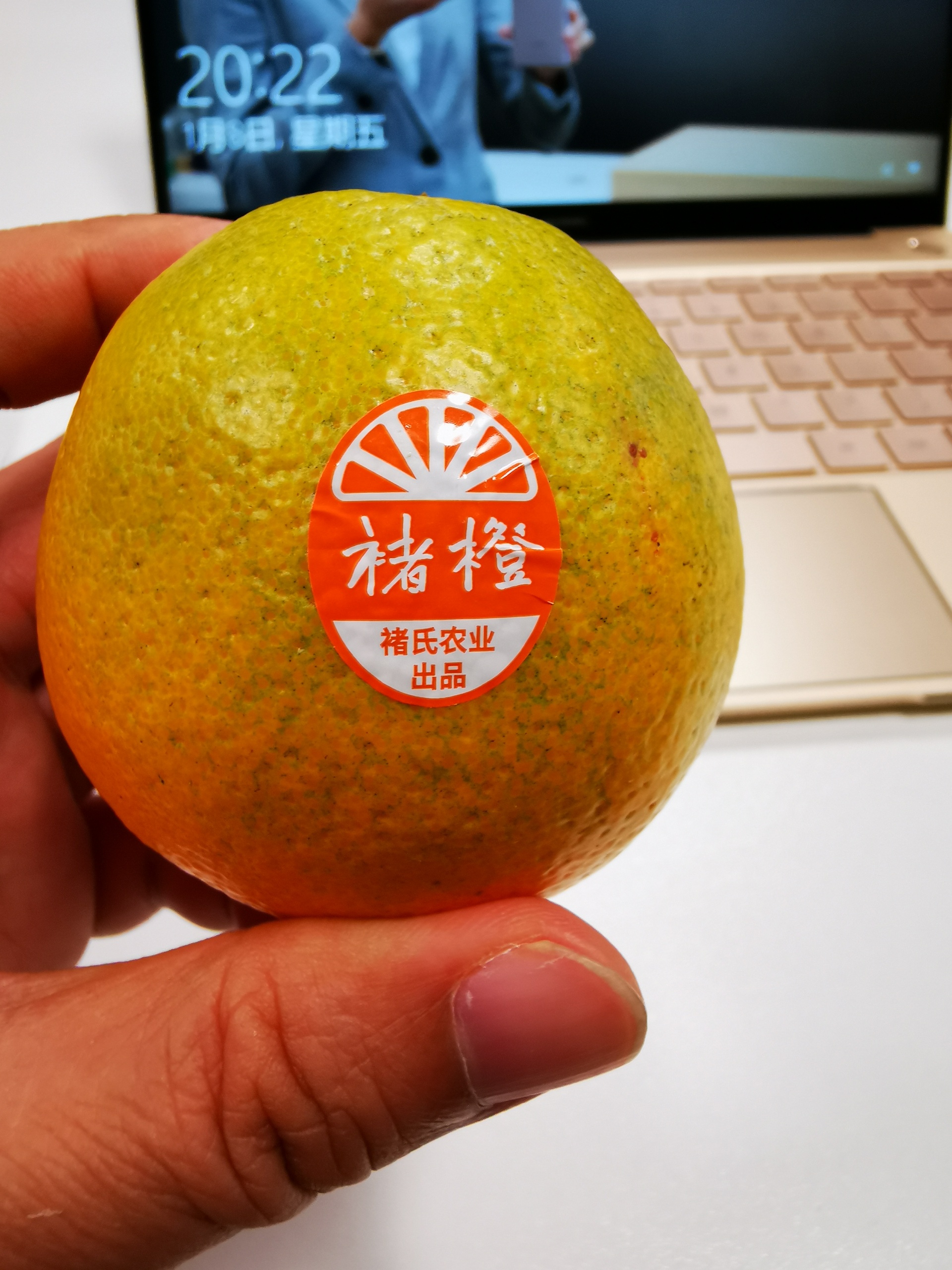 迪拜美食-Coffeol