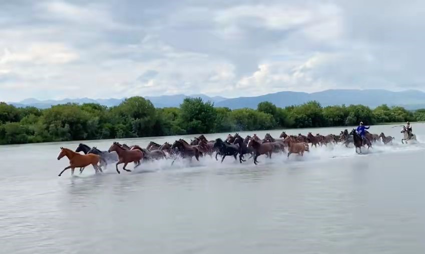 自驾伊昭公路，打卡昭苏湿地公园（天马浴河）_游记