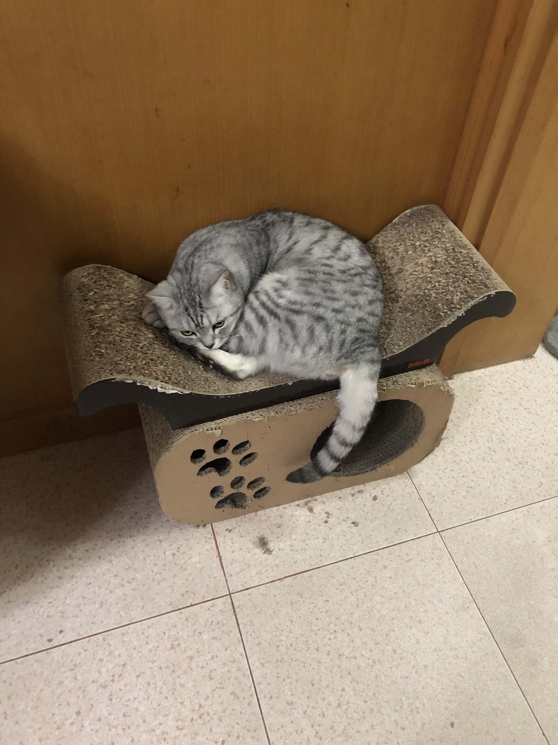 北京娱乐-唱吧麦颂KTV