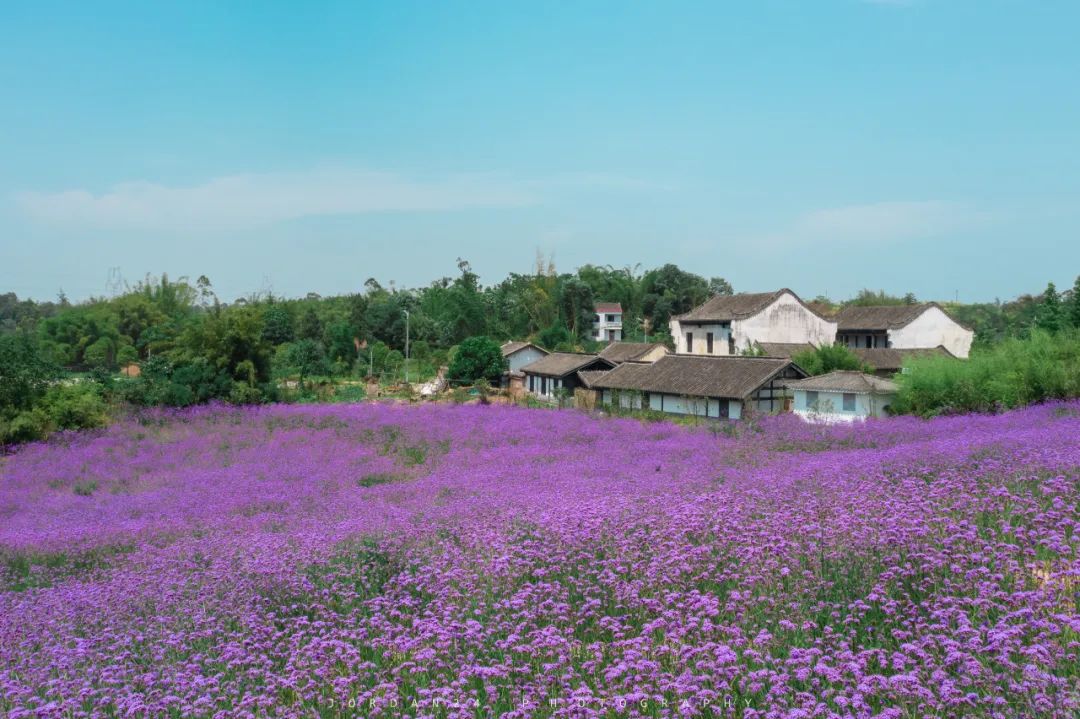 【荣昌图片】蕴藏清幽 慢品时光 | 看周末2天怎么玩转“客家文化的活化石”—重庆荣昌【图文/视频】