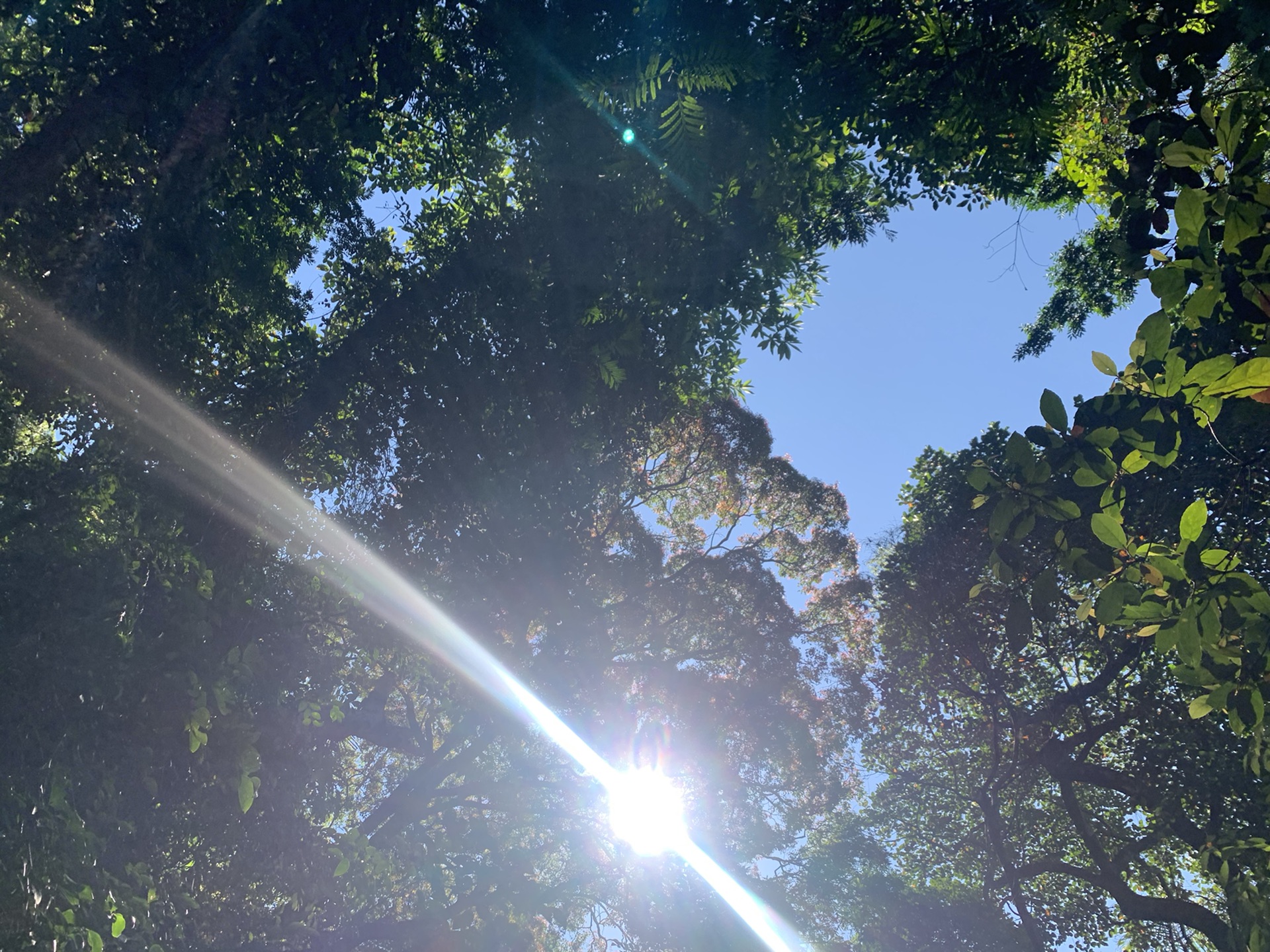 斯里兰卡小众景点一康提徒步秘境_游记