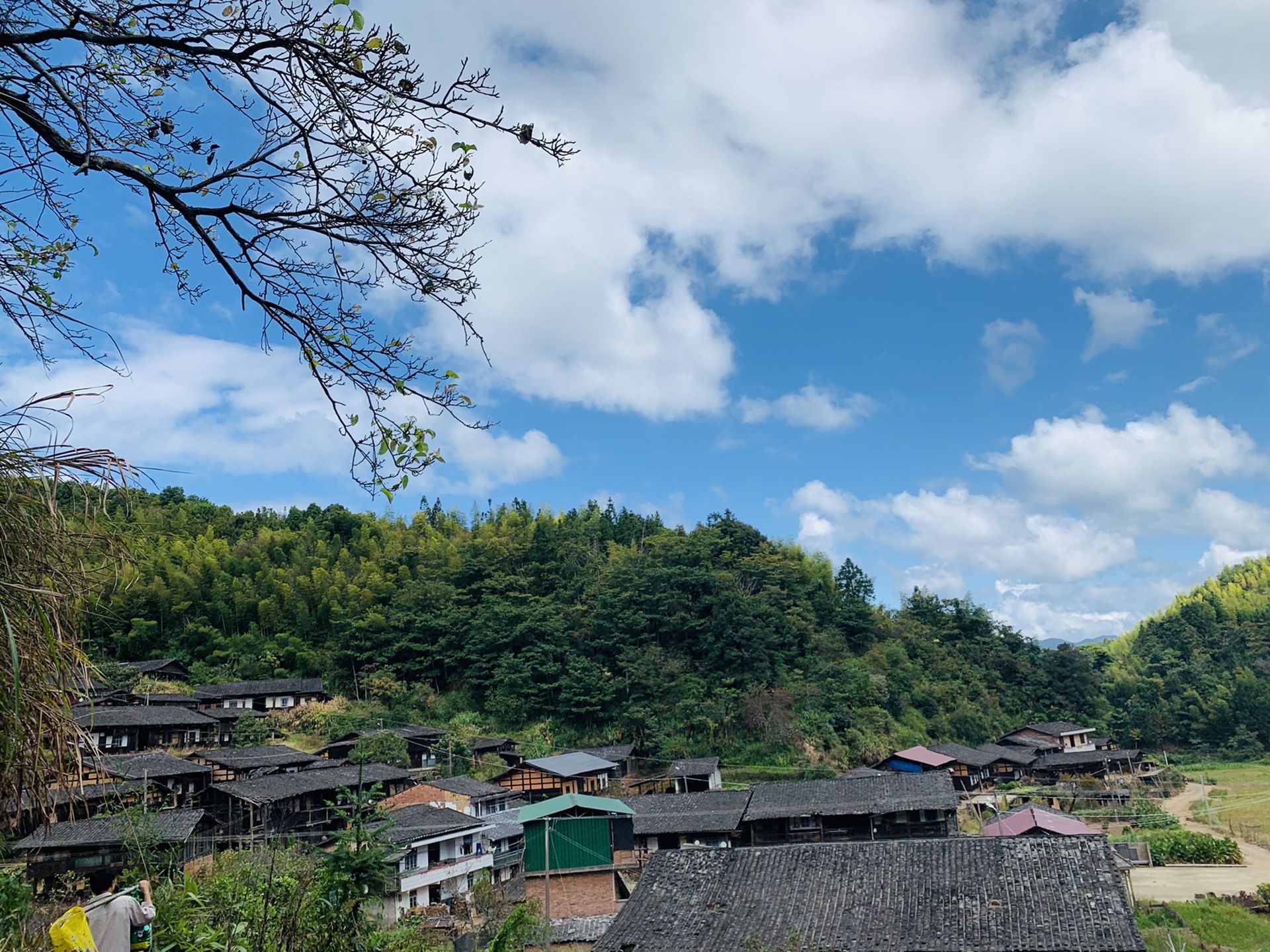 沙县热门游记,沙县自助游游记,沙县旅游热门游记 马蜂窝