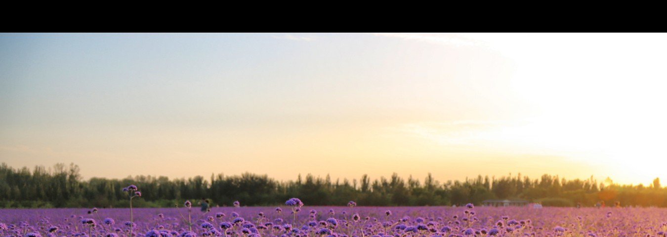 《内蒙古自由行攻略》★难忘的旅行回忆★内蒙古自由行攻略_游记