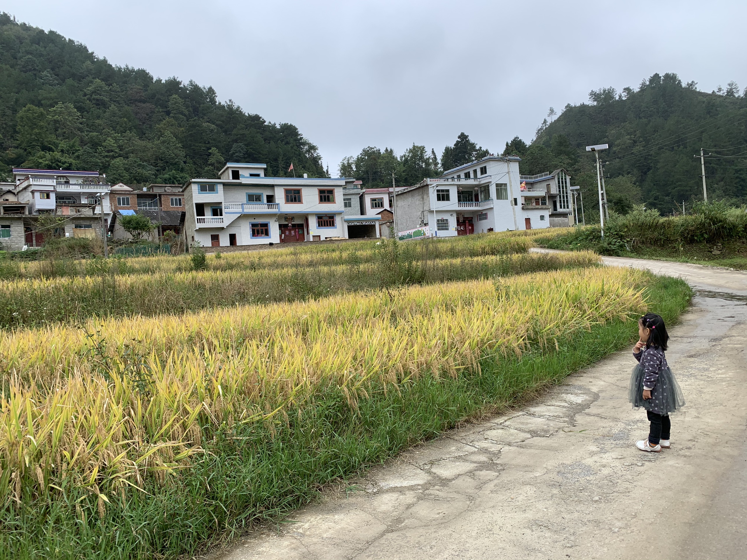 长顺县摆所镇松岗村