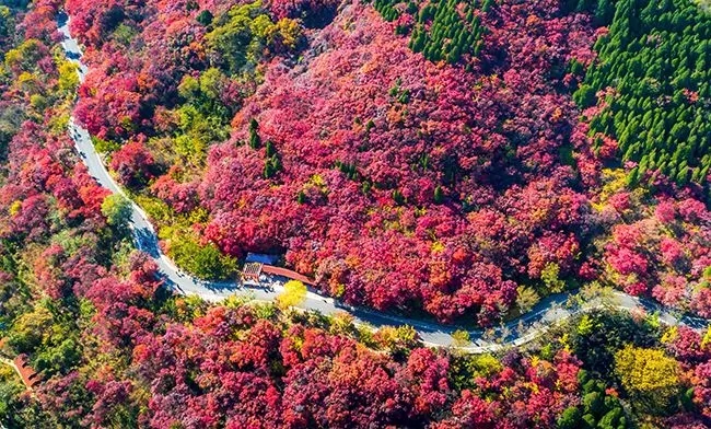 【春节】广州出发清远佛冈田野绿世界-上岳古村徒步春