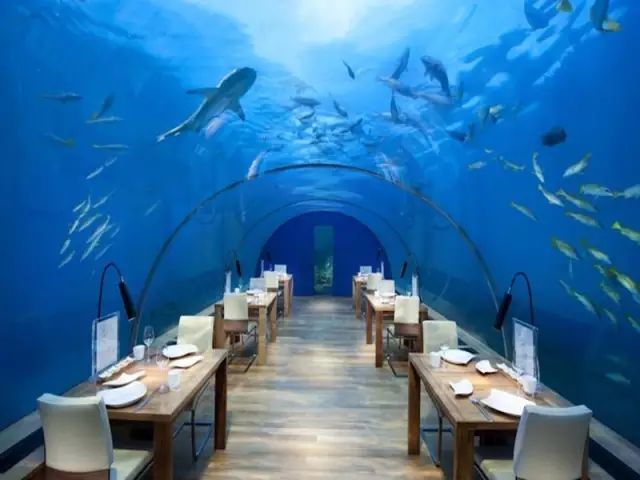 马尔代夫那些让人想去体验一下的惊艳海底餐厅