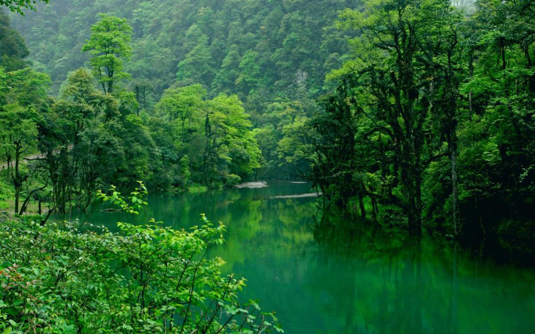 龙苍沟叠翠溪景区门票