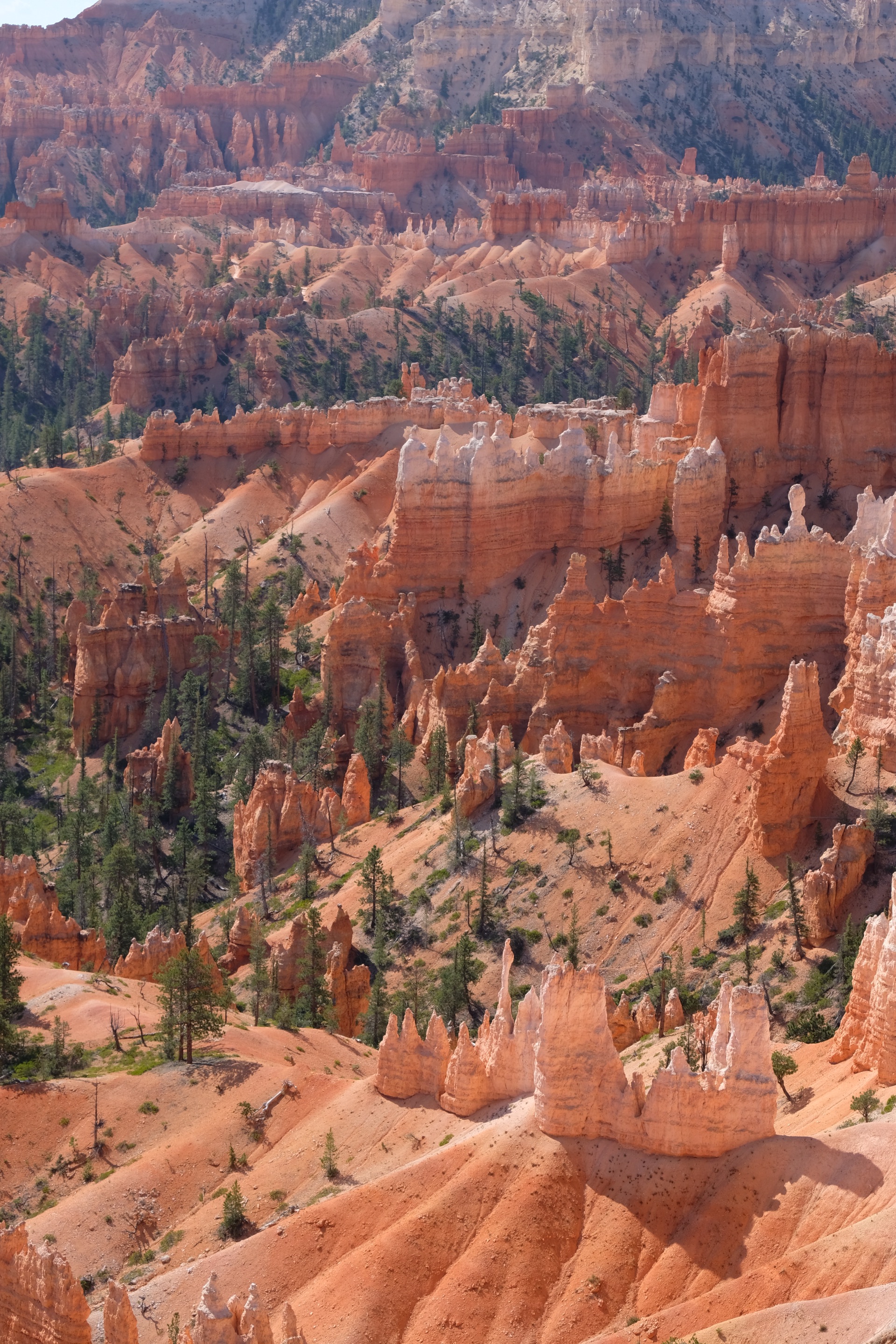 犹他州娱乐-Bryce Canyon Scenic Drive